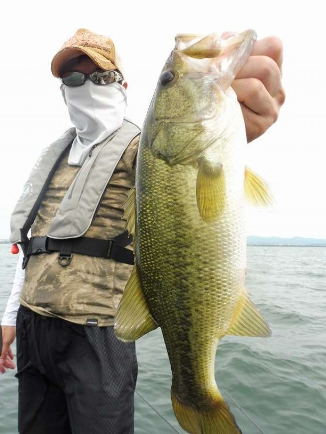 truth okuma ブログ写真 2016/07/10