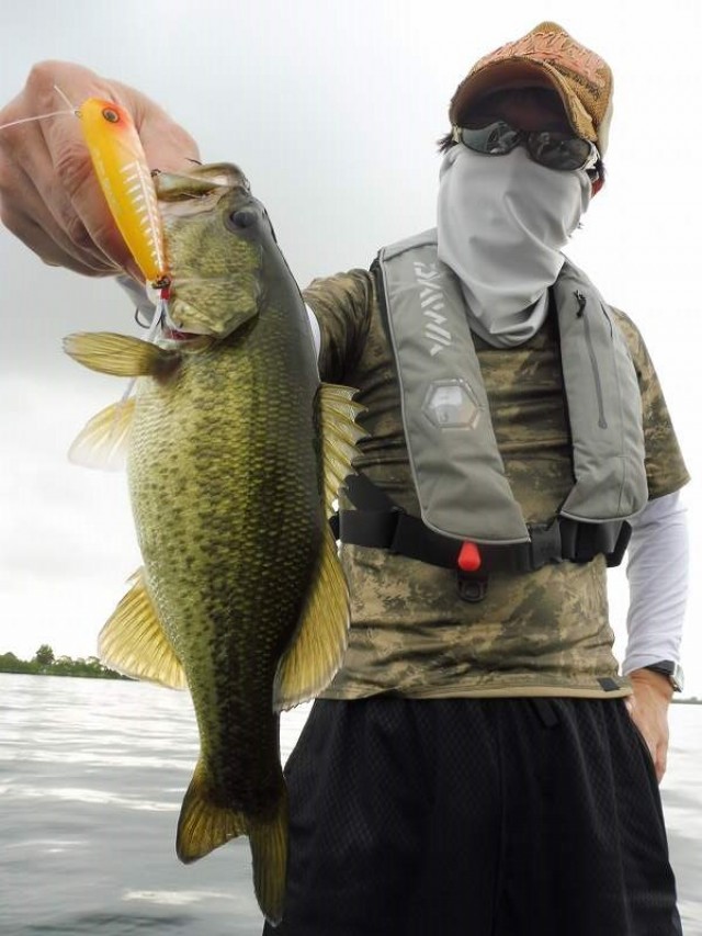 truth okuma ブログ写真 2016/07/10