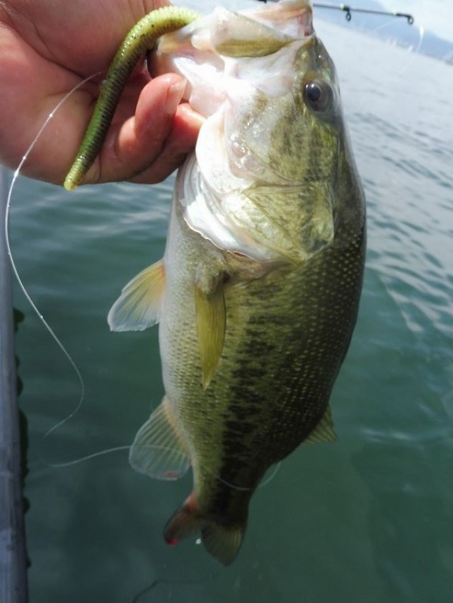 truth okuma ブログ写真 2016/07/10