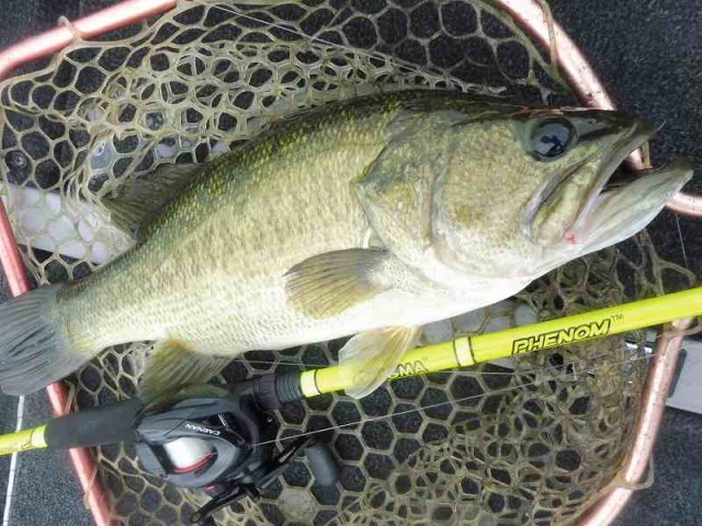 truth okuma ブログ写真 2016/07/13