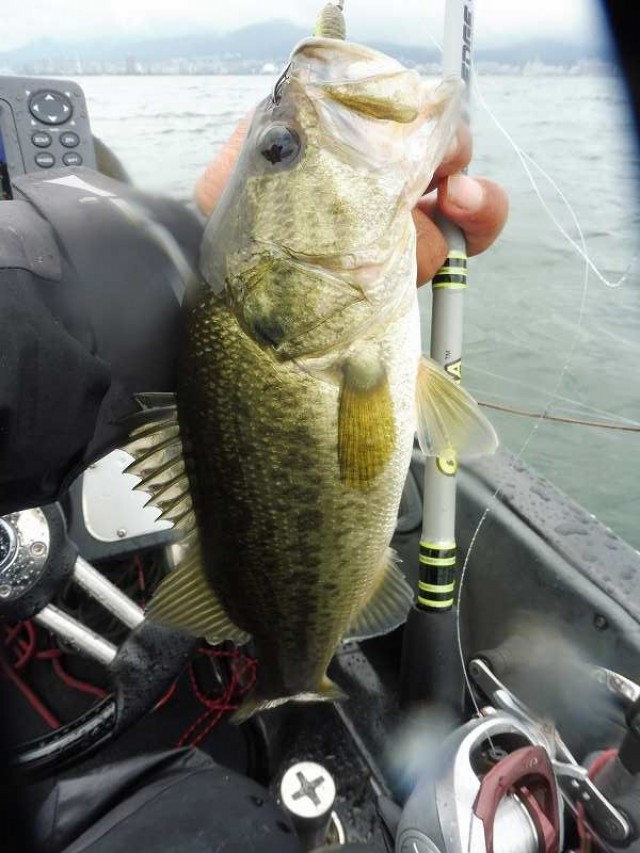 truth okuma ブログ写真 2016/07/13