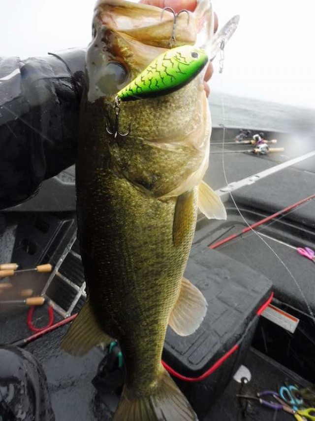 truth okuma ブログ写真 2016/07/13