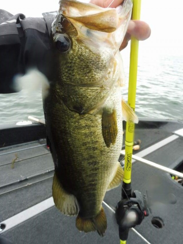 truth okuma ブログ写真 2016/07/13