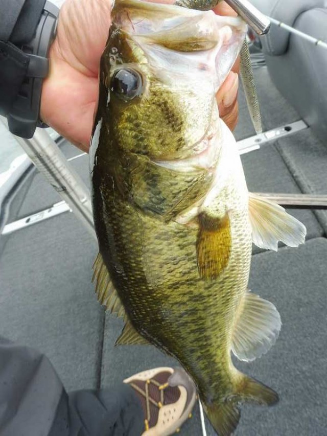 truth okuma ブログ写真 2016/07/13