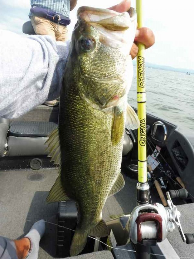 truth okuma ブログ写真 2016/07/16