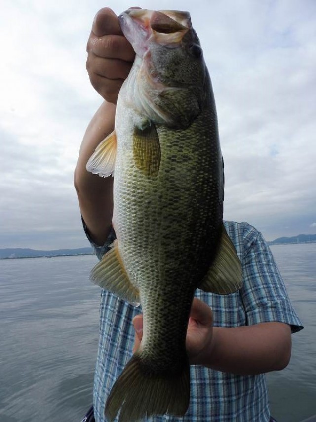 truth okuma ブログ写真 2016/07/16