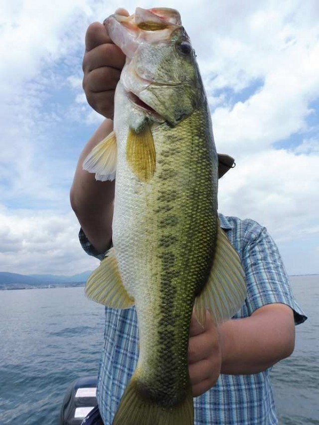 truth okuma ブログ写真 2016/07/16