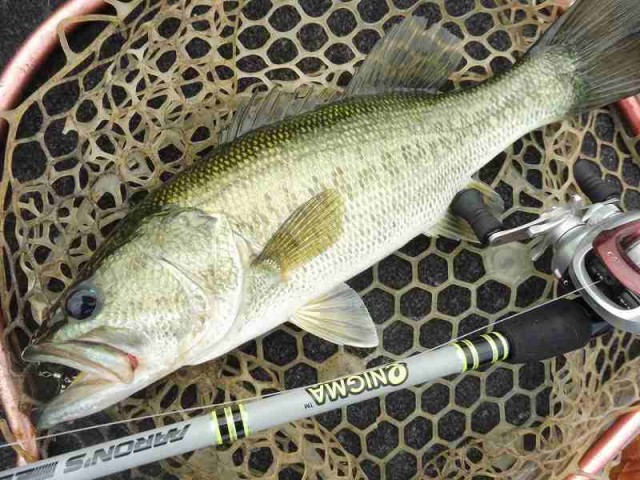 truth okuma ブログ写真 2016/07/16