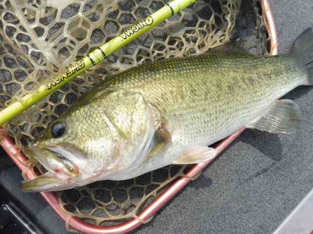 truth okuma ブログ写真 2016/07/16