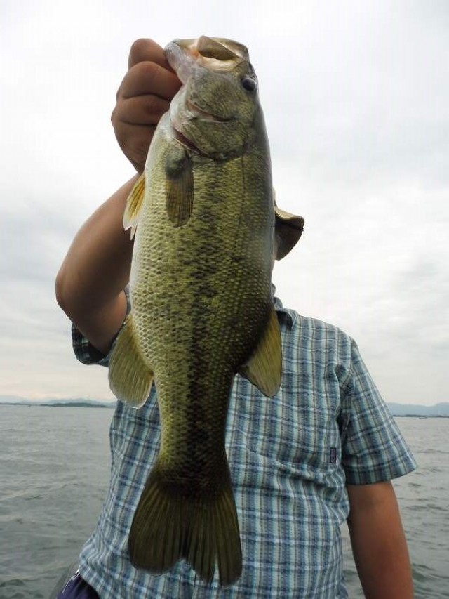 truth okuma ブログ写真 2016/07/16