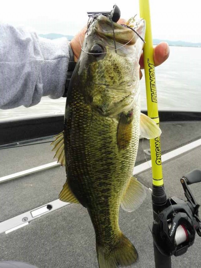 truth okuma ブログ写真 2016/07/16