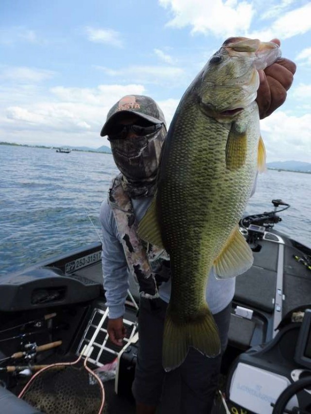 truth okuma ブログ写真 2016/07/16