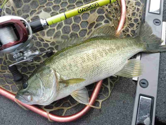 truth okuma ブログ写真 2016/07/19