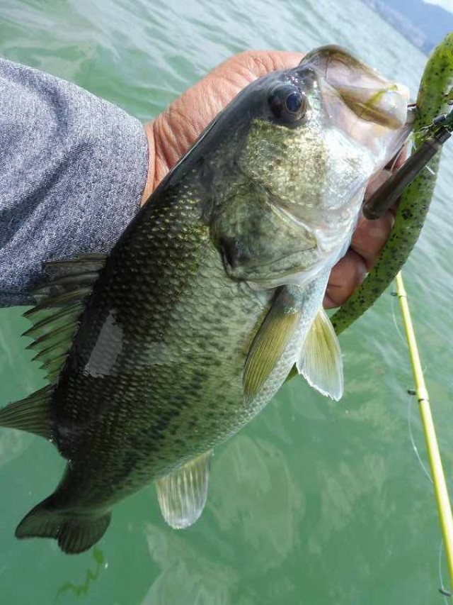 truth okuma ブログ写真 2016/07/23