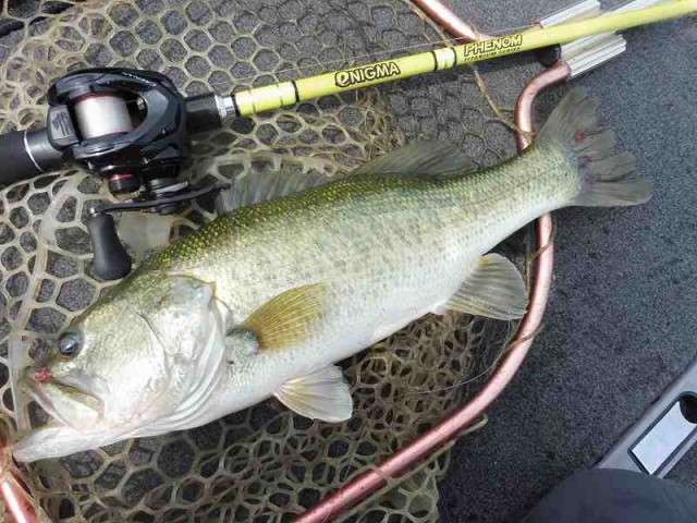 truth okuma ブログ写真 2016/07/24