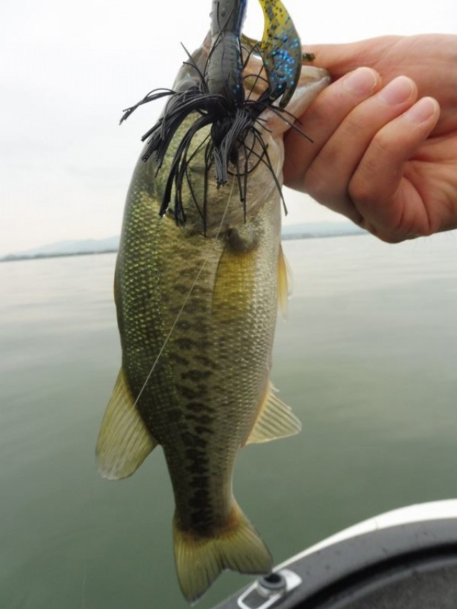 truth okuma ブログ写真 2016/07/25