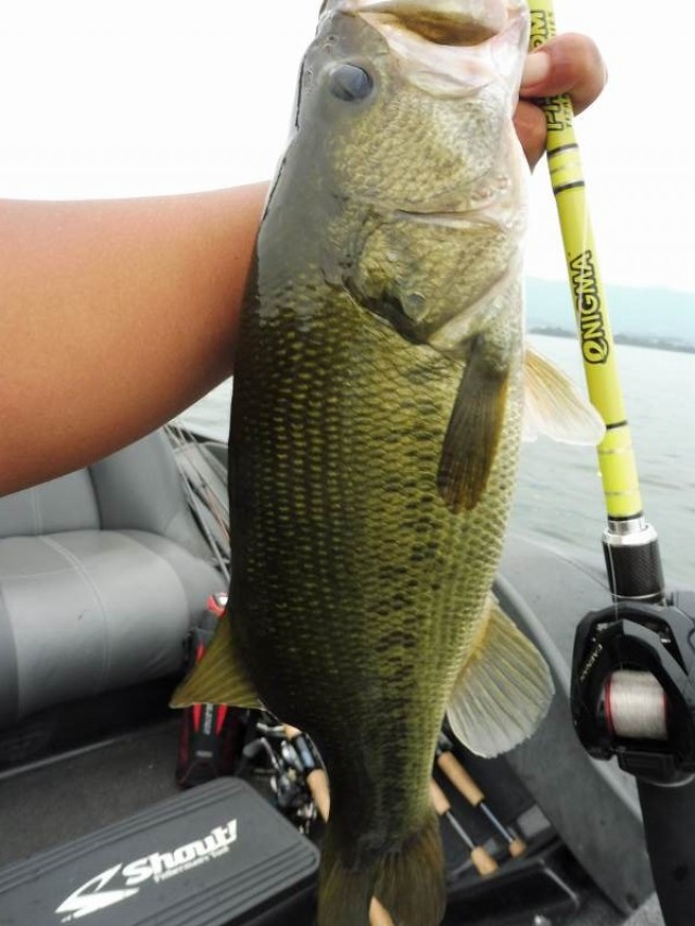 truth okuma ブログ写真 2016/07/25