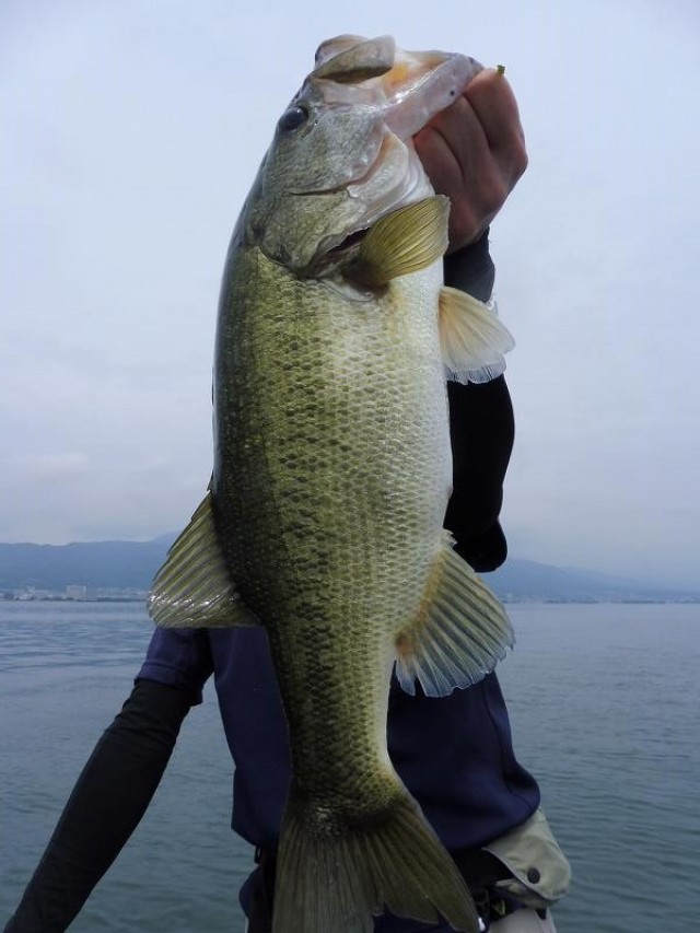 truth okuma ブログ写真 2016/07/25