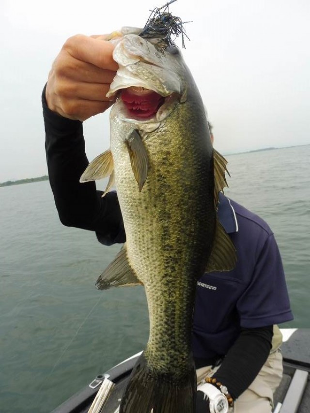 truth okuma ブログ写真 2016/07/25