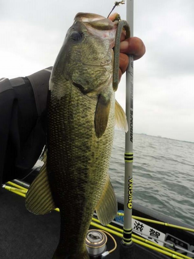 truth okuma ブログ写真 2016/07/26