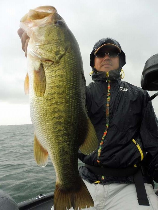 truth okuma ブログ写真 2016/07/26