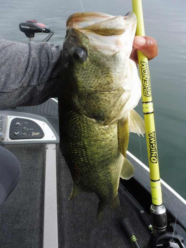 truth okuma ブログ写真 2016/07/27