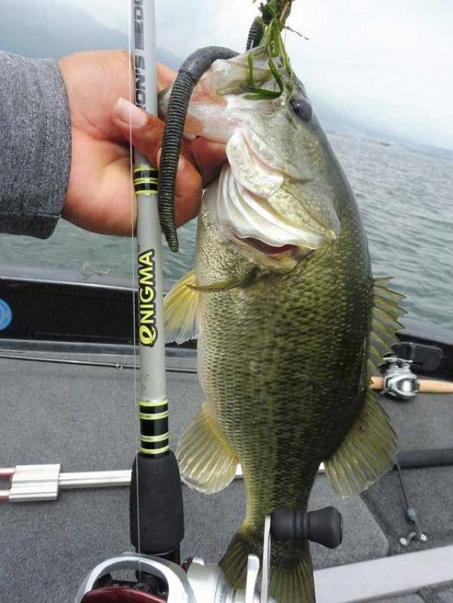 truth okuma ブログ写真 2016/07/27