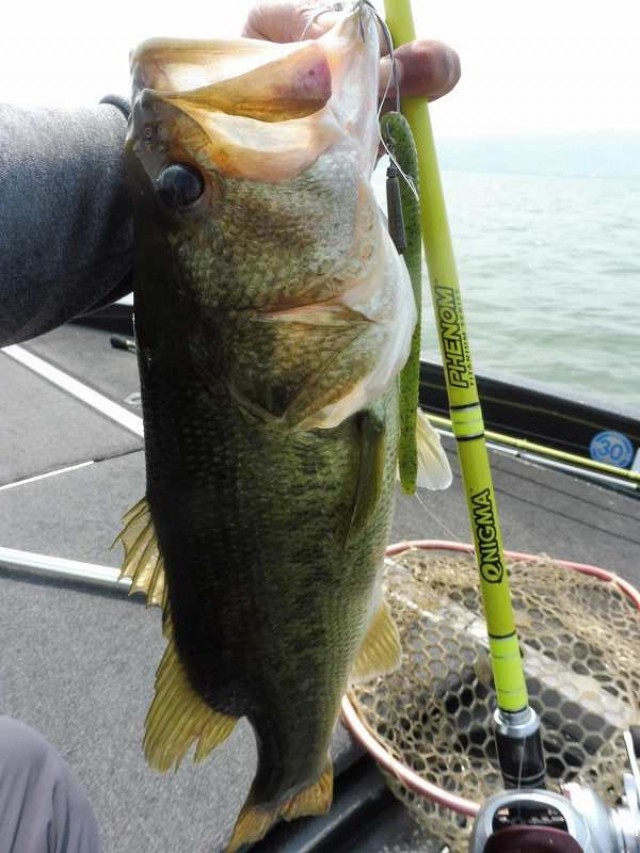 truth okuma ブログ写真 2016/07/27