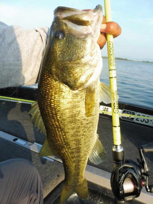 truth okuma ブログ写真 2016/08/01