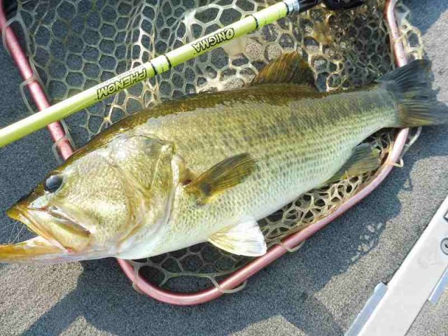 truth okuma ブログ写真 2016/08/01