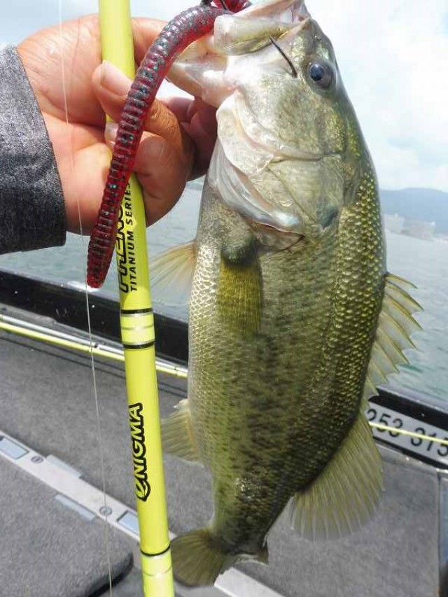 truth okuma ブログ写真 2016/08/02