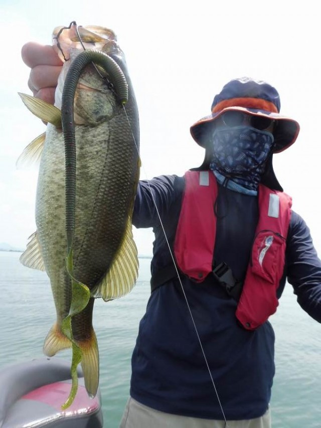 truth okuma ブログ写真 2016/08/02