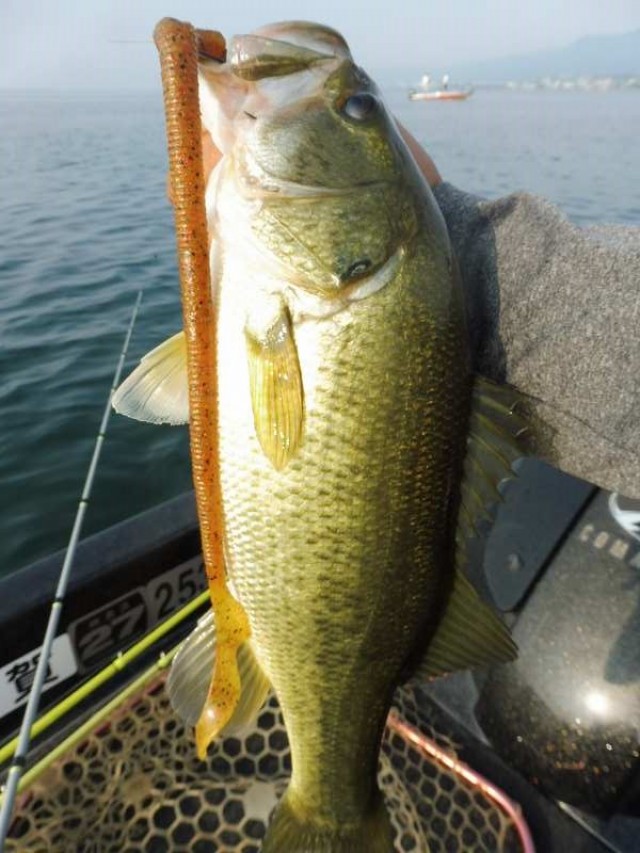 truth okuma ブログ写真 2016/08/02