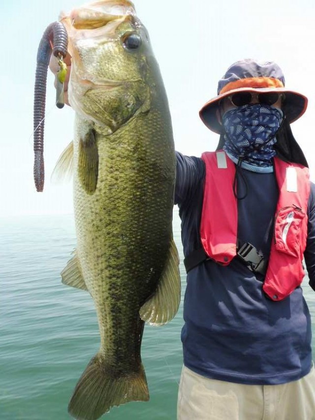 truth okuma ブログ写真 2016/08/02