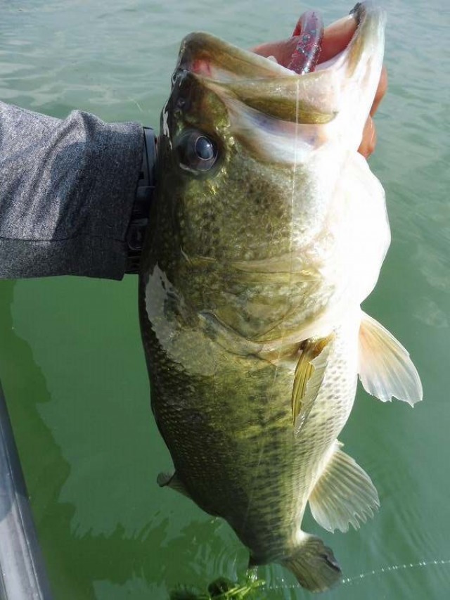 truth okuma ブログ写真 2016/08/02