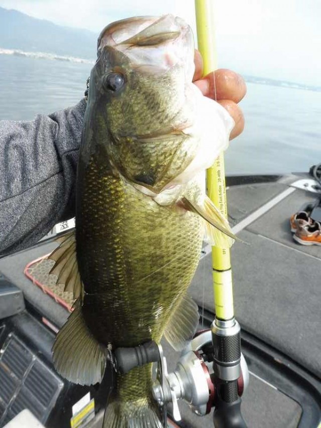 truth okuma ブログ写真 2016/08/02