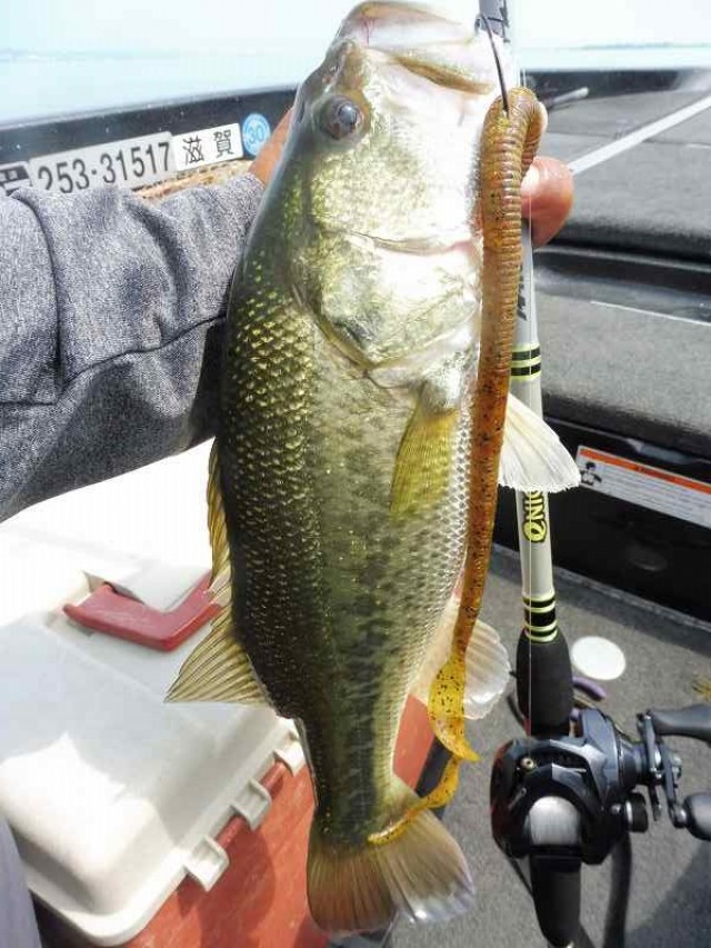 truth okuma ブログ写真 2016/08/02