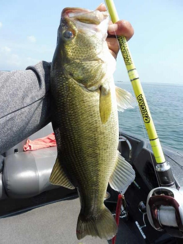 truth okuma ブログ写真 2016/08/04