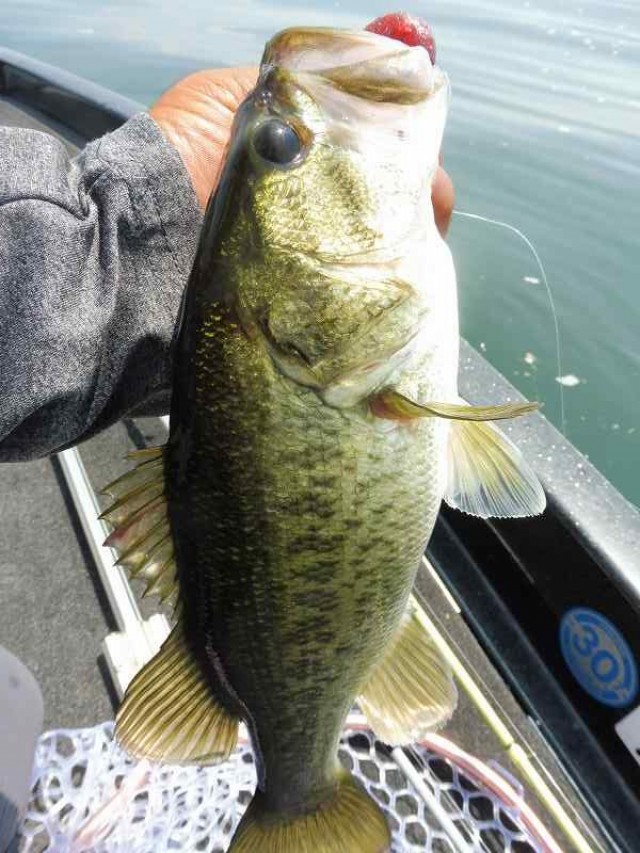 truth okuma ブログ写真 2016/08/04