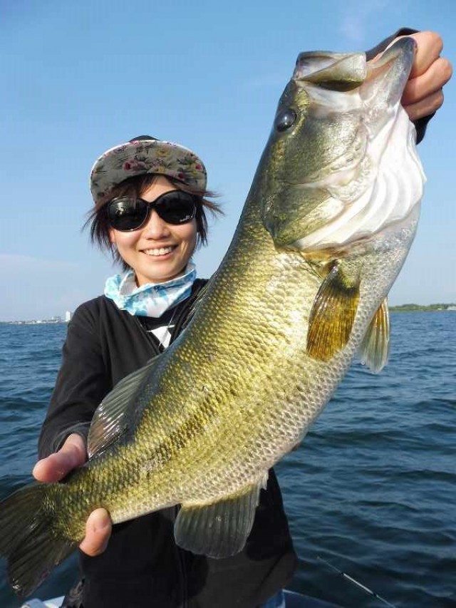 truth okuma ブログ写真 2016/08/04