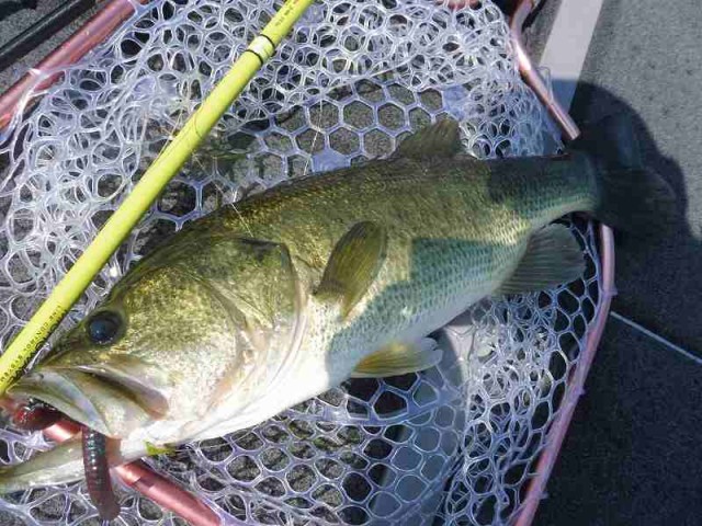 truth okuma ブログ写真 2016/08/05