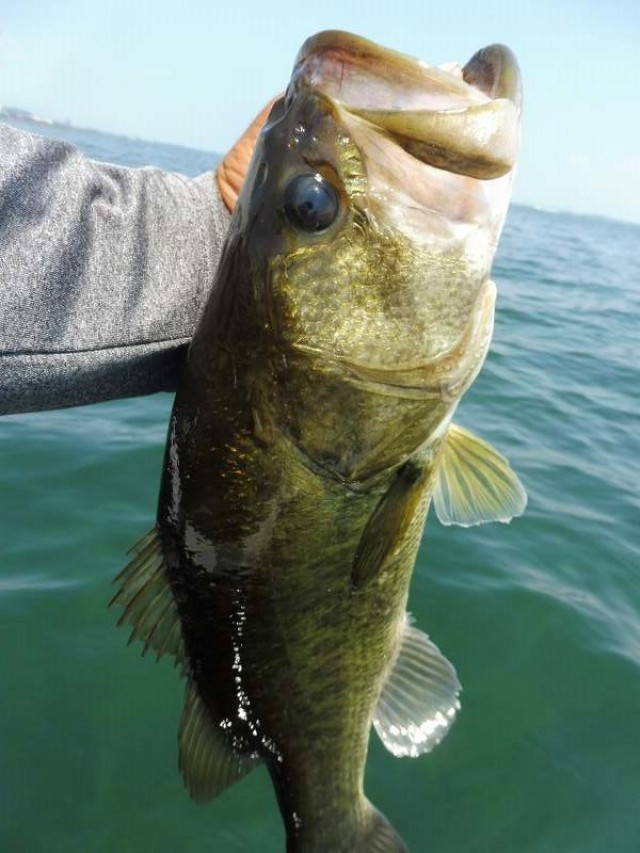 truth okuma ブログ写真 2016/08/05