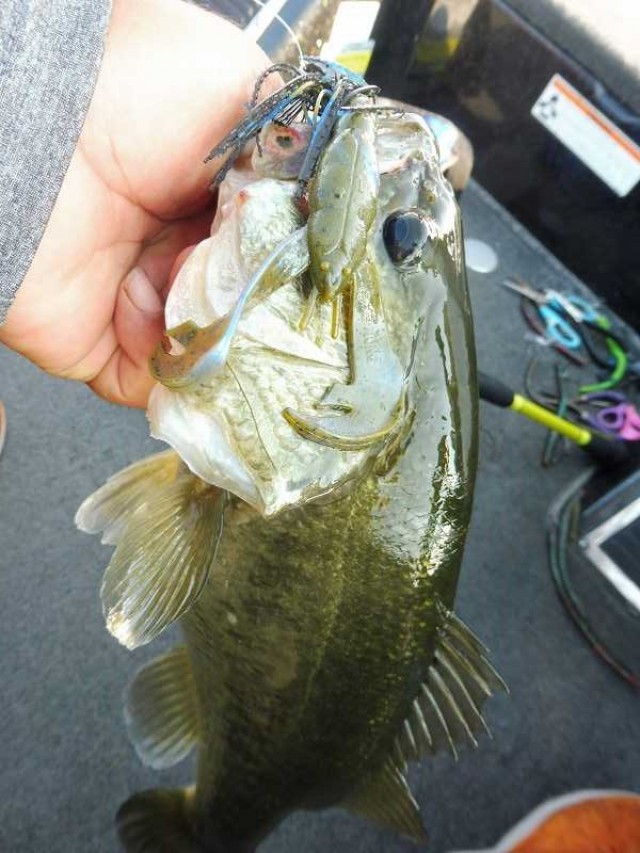 truth okuma ブログ写真 2016/08/05