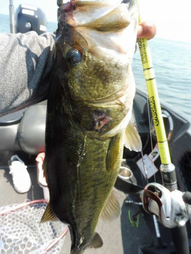 truth okuma ブログ写真 2016/08/05