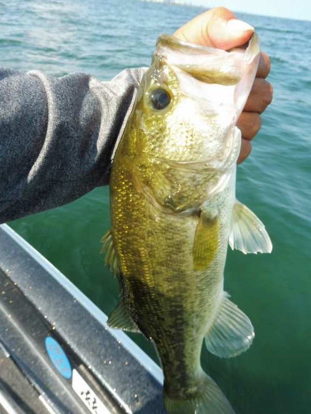 truth okuma ブログ写真 2016/08/05