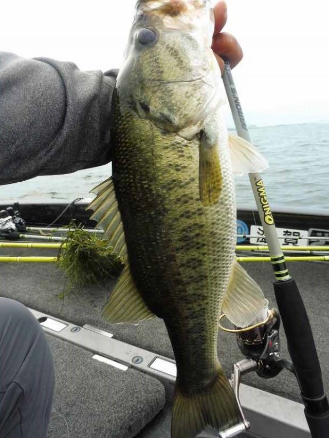 truth okuma ブログ写真 2016/08/06