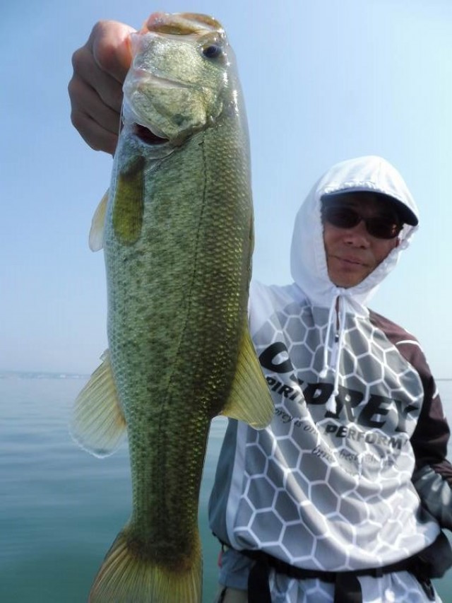 truth okuma ブログ写真 2016/08/06