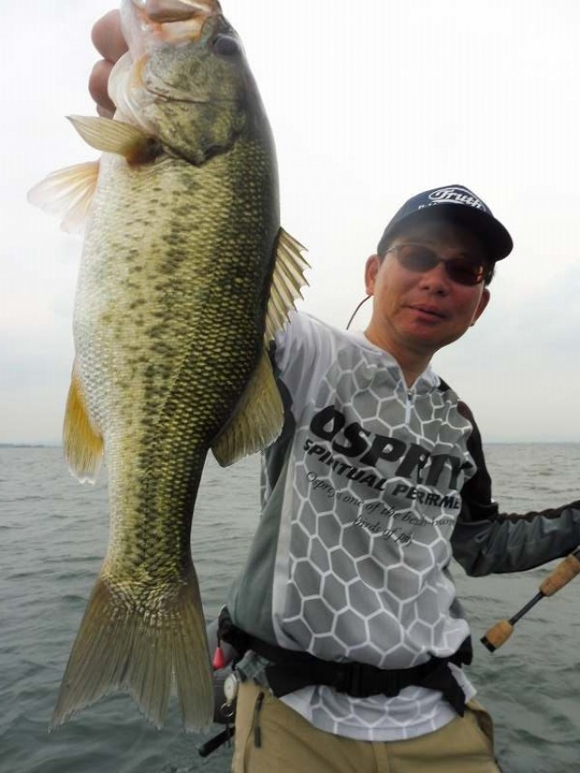 truth okuma ブログ写真 2016/08/06