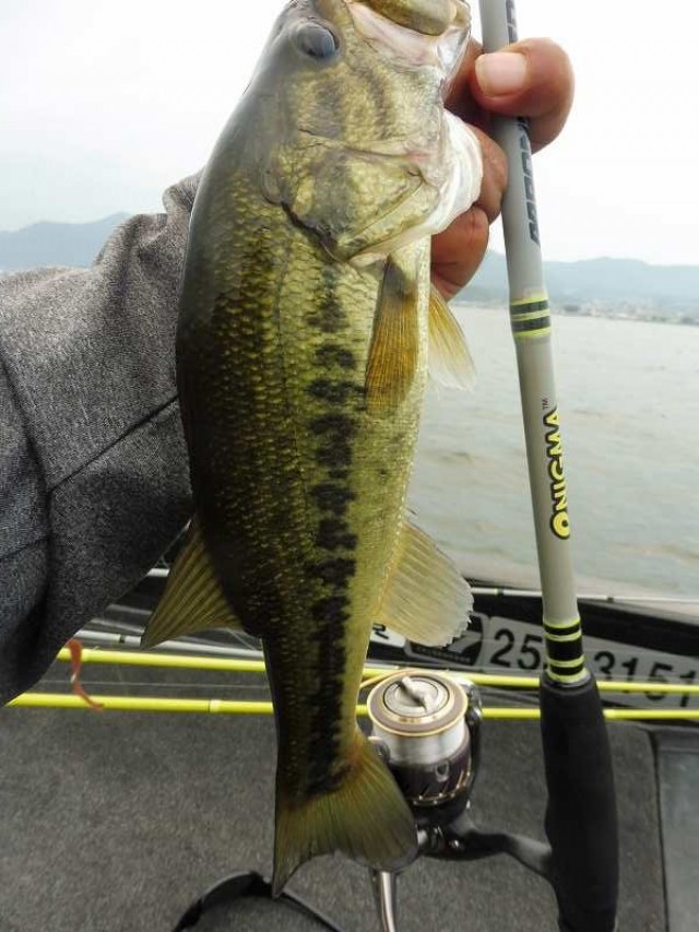 truth okuma ブログ写真 2016/08/06