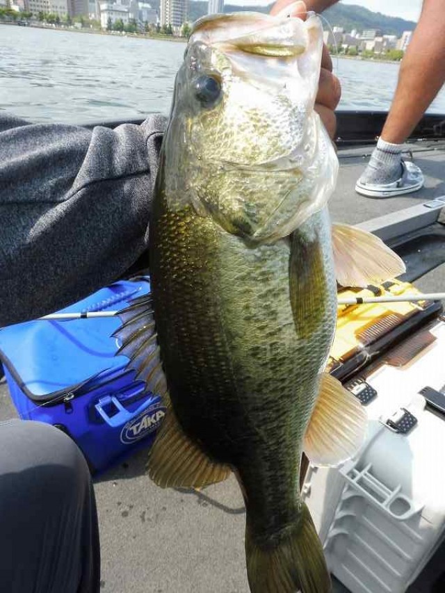 truth okuma ブログ写真 2016/08/07